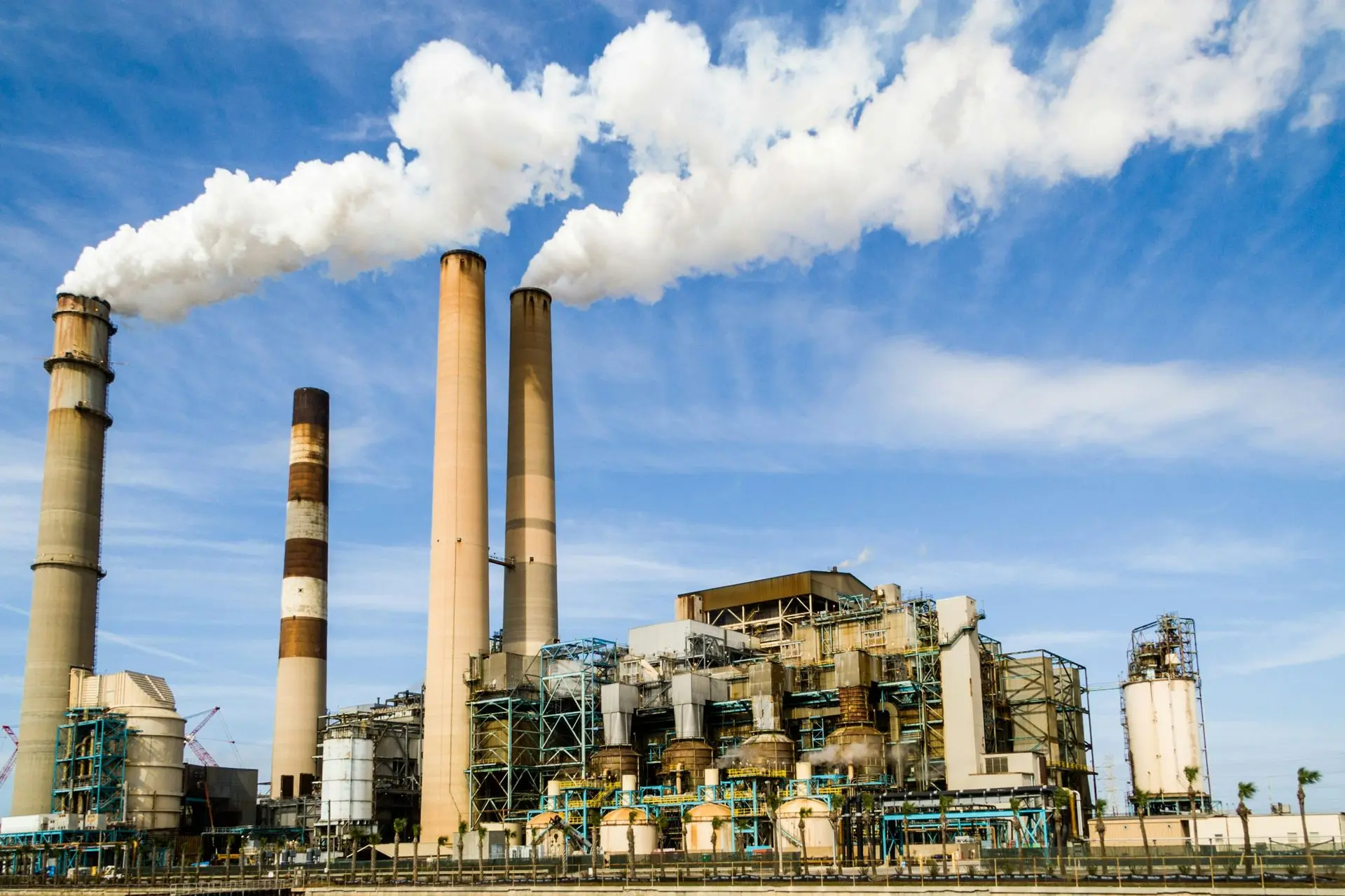 Factory Business License